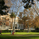 Illustration for article titled Six New Sexual Abuse Allegations Added to USC Student Lawsuit Against Campus Gynecologist